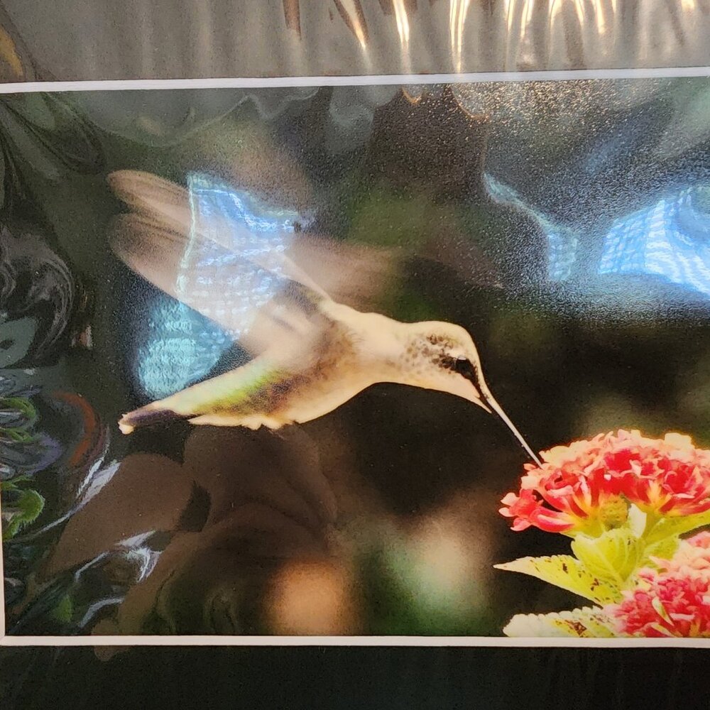 2/$13 Hummingbird In Flight Photography Print with Black Matte Frame - 8x10 - Picture 2 of 4